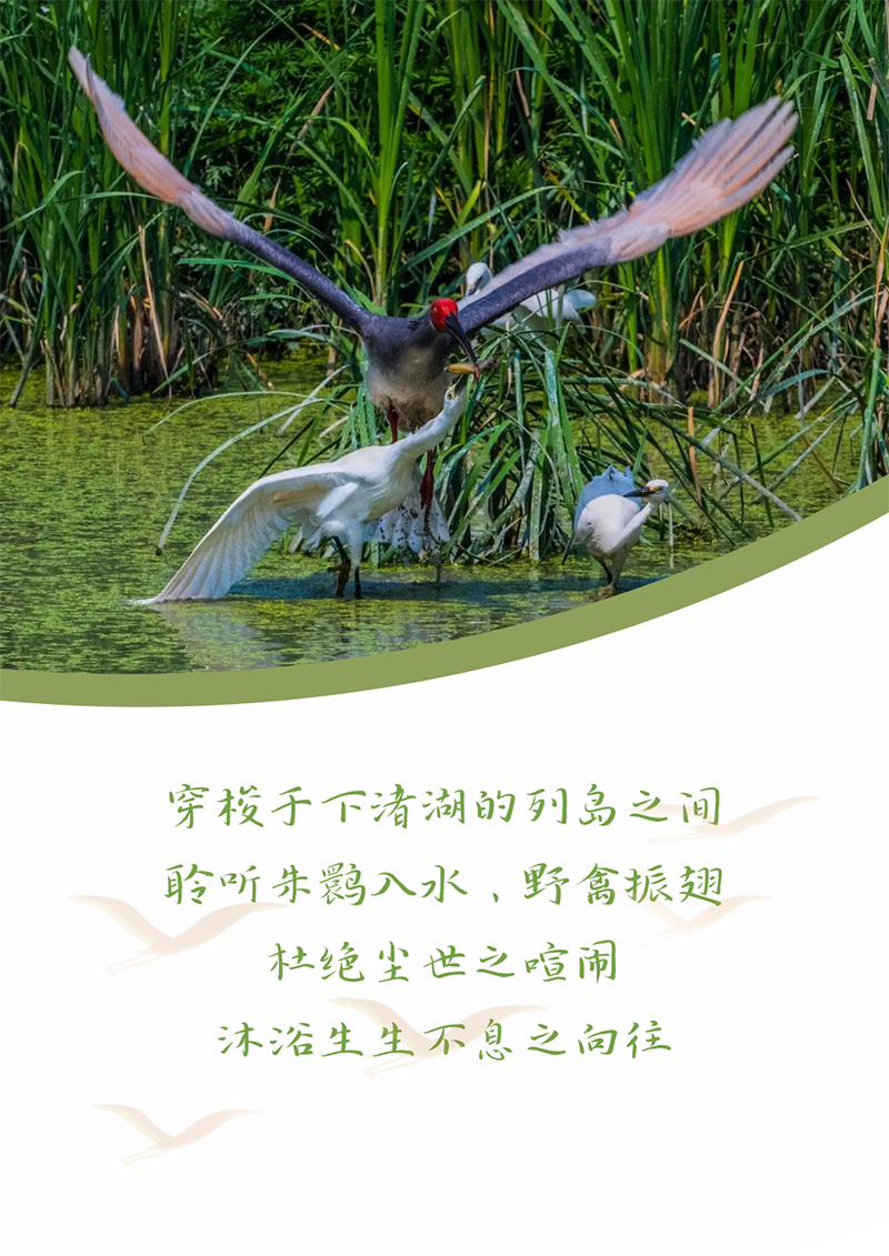 心心念廿 相伴918博天堂 | 与德清相约 贺廿载诞辰